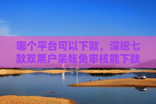 哪个平台可以下款，深挖七款双黑户呆帐免审核能下款的APP