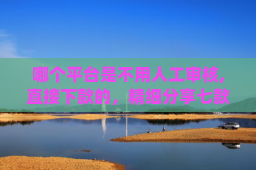 哪个平台是不用人工审核,直接下款的，精细分享七款2025年黑户秒下款的网贷app