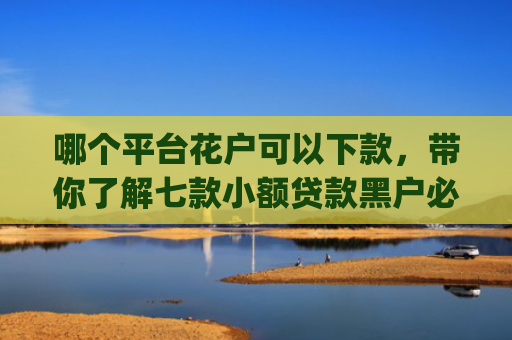 哪个平台花户可以下款，带你了解七款小额贷款黑户必下款的app