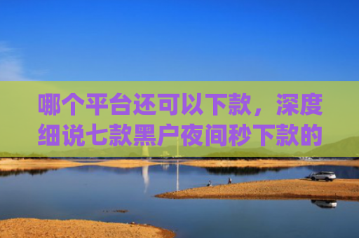 哪个平台还可以下款，深度细说七款黑户夜间秒下款的App2025