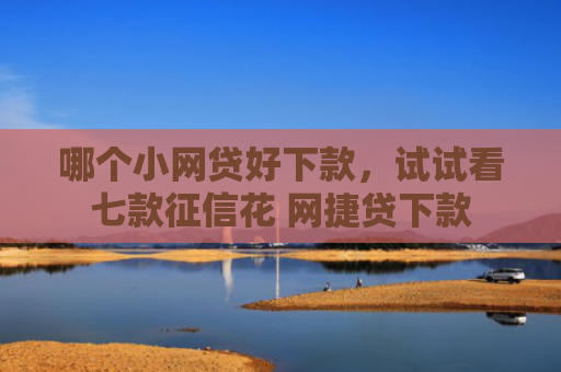 哪个小网贷好下款，试试看七款征信花 网捷贷下款