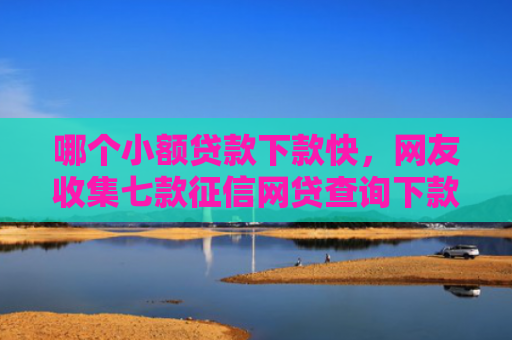 哪个小额贷款下款快，网友收集七款征信网贷查询下款率