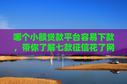 哪个小额贷款平台容易下款，带你了解七款征信花了网贷不给下款