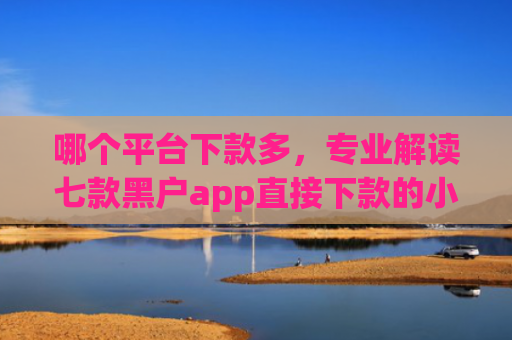 哪个平台下款多，专业解读七款黑户app直接下款的小额贷款