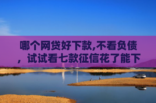 哪个网贷好下款,不看负债，试试看七款征信花了能下款的大额网贷