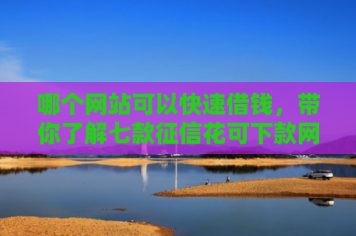 哪个网站可以快速借钱，带你了解七款征信花可下款网贷