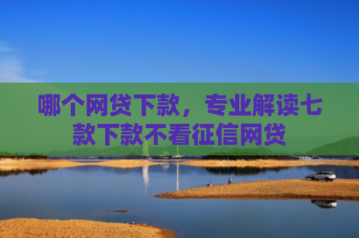 哪个网贷下款，专业解读七款下款不看征信网贷