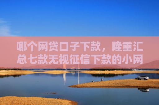 哪个网贷口子下款，隆重汇总七款无视征信下款的小网贷