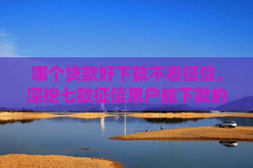 哪个贷款好下款不看征信，深挖七款征信黑户能下款的app
