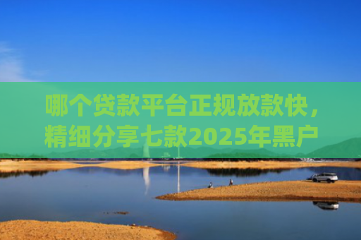 哪个贷款平台正规放款快，精细分享七款2025年黑户能下款的app