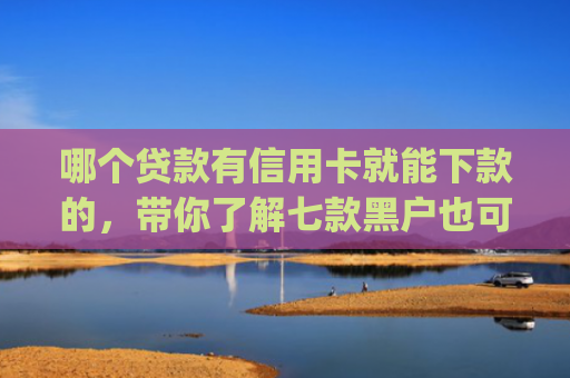 哪个贷款有信用卡就能下款的，带你了解七款黑户也可以下款的app