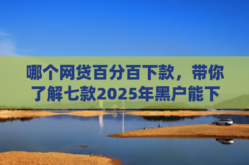 哪个网贷百分百下款，带你了解七款2025年黑户能下款的小额贷款app