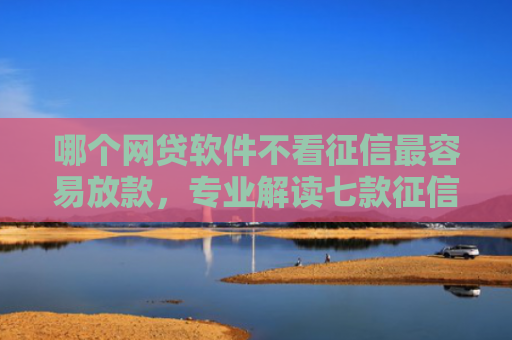 哪个网贷软件不看征信最容易放款，专业解读七款征信很花也能下款的网贷