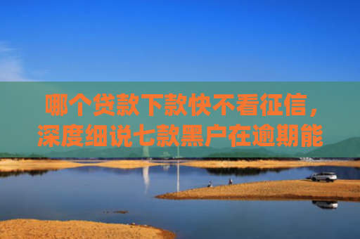 哪个贷款下款快不看征信，深度细说七款黑户在逾期能下款app入口