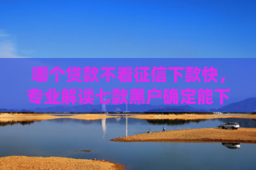 哪个贷款不看征信下款快，专业解读七款黑户确定能下款的app