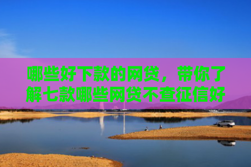 哪些好下款的网贷，带你了解七款哪些网贷不查征信好下款