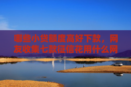 哪些小贷额度高好下款，网友收集七款征信花用什么网贷会下款