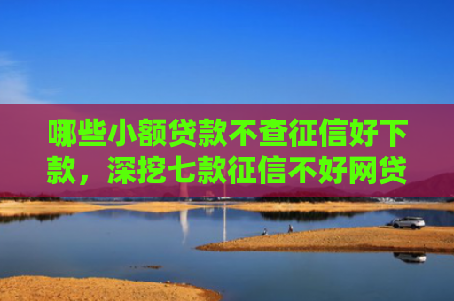 哪些小额贷款不查征信好下款，深挖七款征信不好网贷哪个能下款