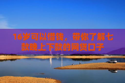 16岁可以借钱，带你了解七款晚上下款的网贷口子