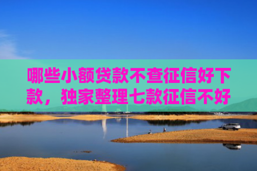 哪些小额贷款不查征信好下款，独家整理七款征信不好还有网贷能下款