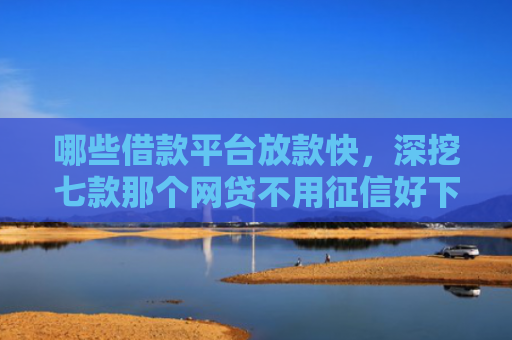 哪些借款平台放款快，深挖七款那个网贷不用征信好下款