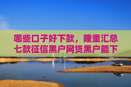 哪些口子好下款，隆重汇总七款征信黑户网贷黑户能下款