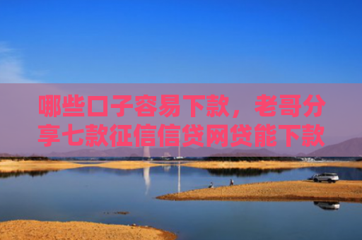 哪些口子容易下款，老哥分享七款征信信贷网贷能下款吗