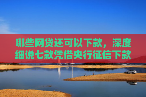 哪些网贷还可以下款，深度细说七款凭借央行征信下款的网贷