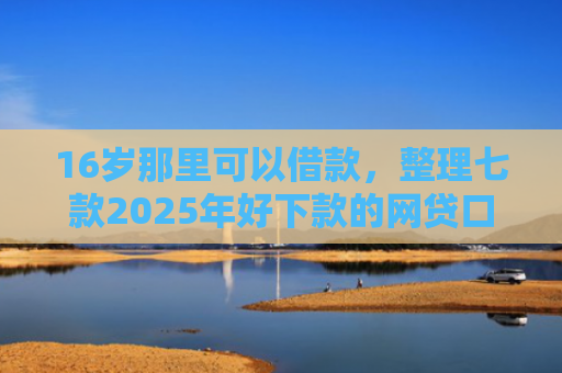 16岁那里可以借款，整理七款2025年好下款的网贷口子