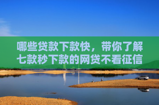 哪些贷款下款快，带你了解七款秒下款的网贷不看征信