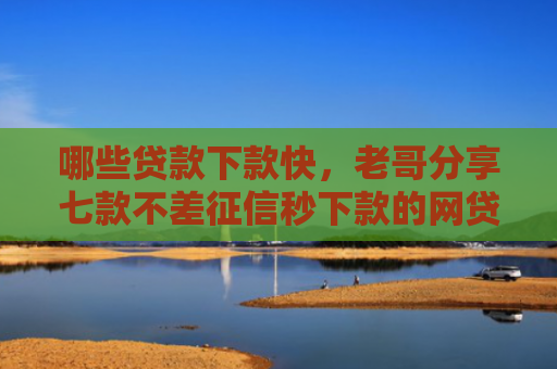 哪些贷款下款快，老哥分享七款不差征信秒下款的网贷