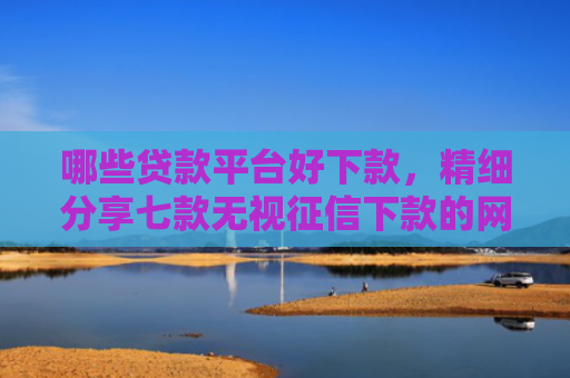 哪些贷款平台好下款，精细分享七款无视征信下款的网贷平台