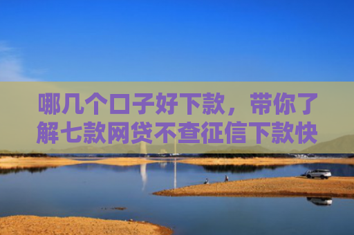 哪几个口子好下款，带你了解七款网贷不查征信下款快