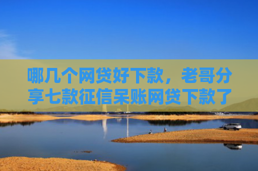 哪几个网贷好下款，老哥分享七款征信呆账网贷下款了
