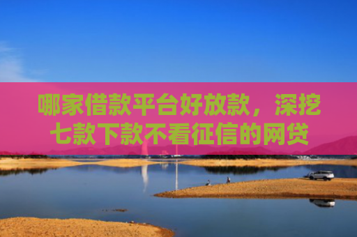 哪家借款平台好放款，深挖七款下款不看征信的网贷
