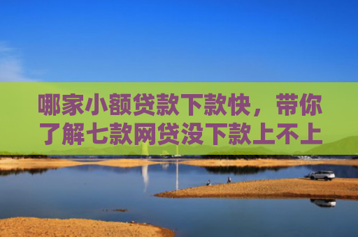哪家小额贷款下款快，带你了解七款网贷没下款上不上征信