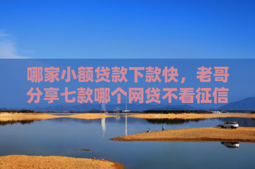 哪家小额贷款下款快，老哥分享七款哪个网贷不看征信下款