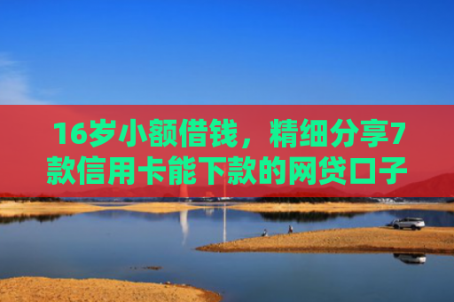 16岁小额借钱，精细分享7款信用卡能下款的网贷口子
