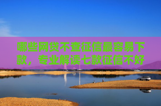 哪些网贷不查征信最容易下款，专业解读七款征信不好下款的网贷平台