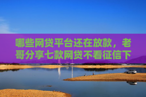 哪些网贷平台还在放款，老哥分享七款网贷不看征信下款快6
