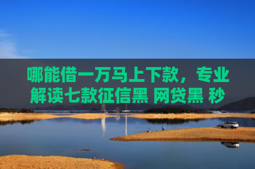 哪能借一万马上下款，专业解读七款征信黑 网贷黑 秒下款