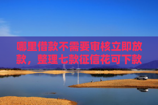 哪里借款不需要审核立即放款，整理七款征信花可下款的网贷