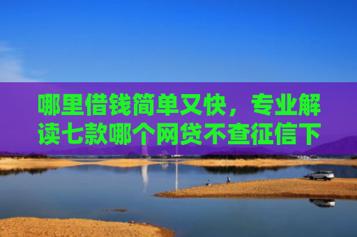 哪里借钱简单又快，专业解读七款哪个网贷不查征信下款多