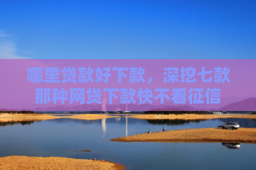 哪里贷款好下款，深挖七款那种网贷下款快不看征信