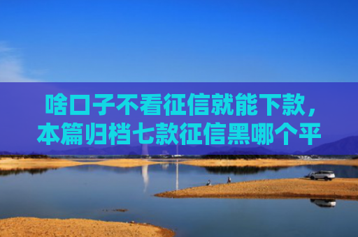 啥口子不看征信就能下款，本篇归档七款征信黑哪个平台能下款呢