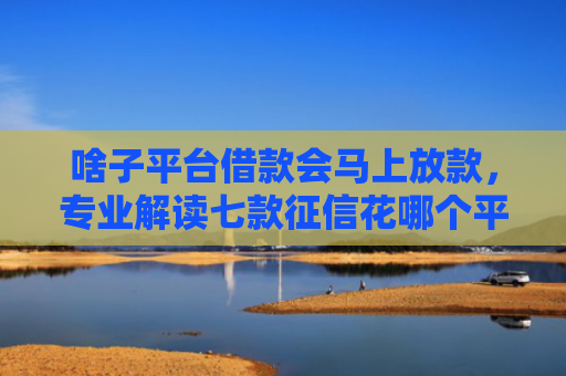 啥子平台借款会马上放款，专业解读七款征信花哪个平台可以下款