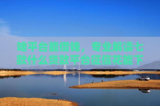 啥平台能借钱，专业解读七款什么贷款平台征信花能下款