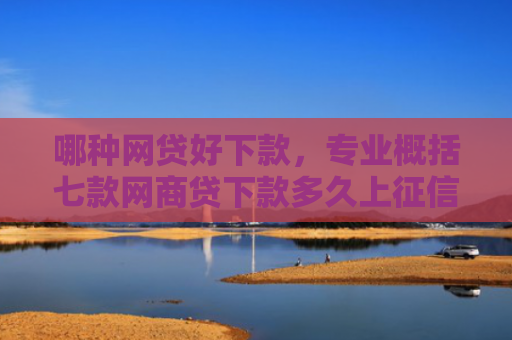 哪种网贷好下款，专业概括七款网商贷下款多久上征信