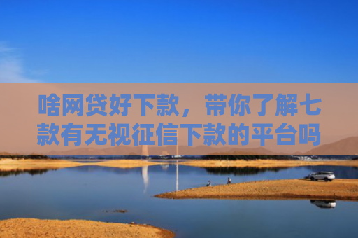 啥网贷好下款，带你了解七款有无视征信下款的平台吗