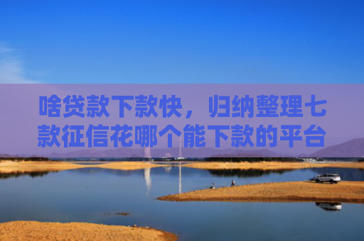 啥贷款下款快，归纳整理七款征信花哪个能下款的平台